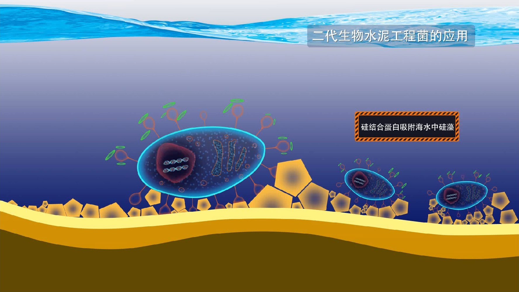 華科實(shí)驗技術(shù)展示1